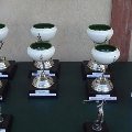 Torneo AriparBio