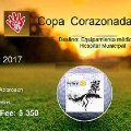 Torneo Rotary Club Huinca Loo Daireaux